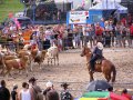 Rodeo Muráň XVII. ročník