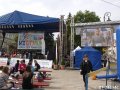 VSE - City Run 2017