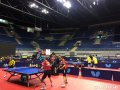 2017 ITTF Para Table Tenis World Team Championship